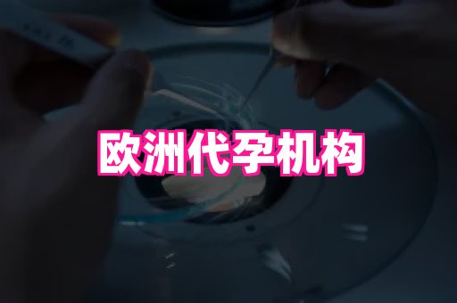 贵州助孕网站 2