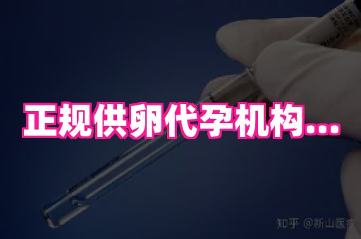 贵州助孕网站 3
